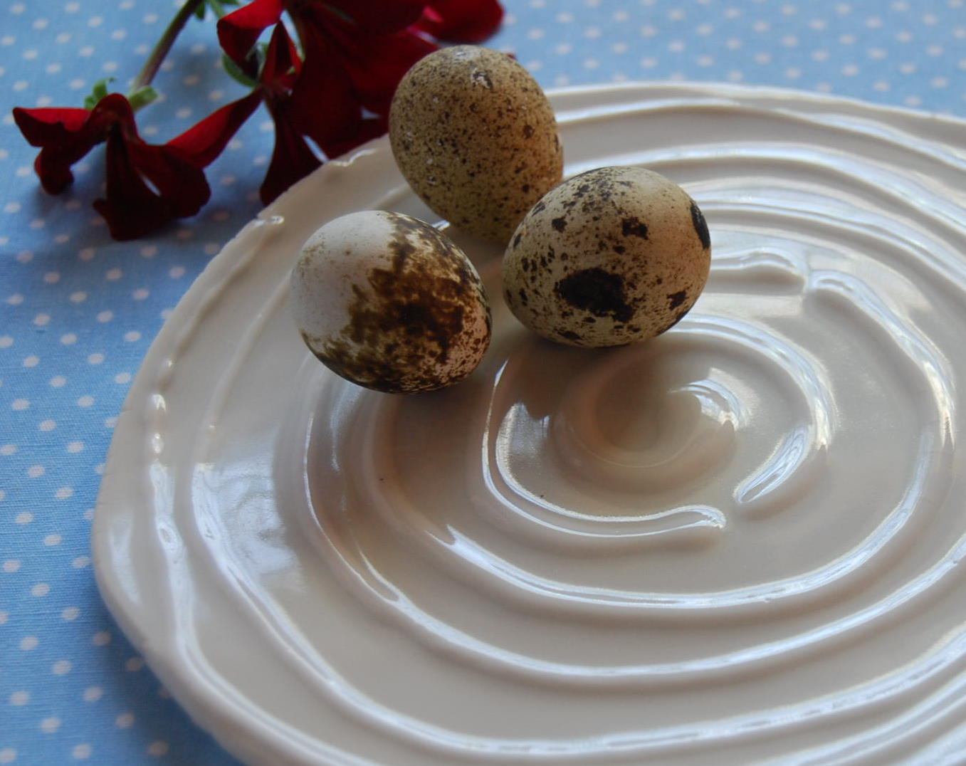 Porcelan NRW