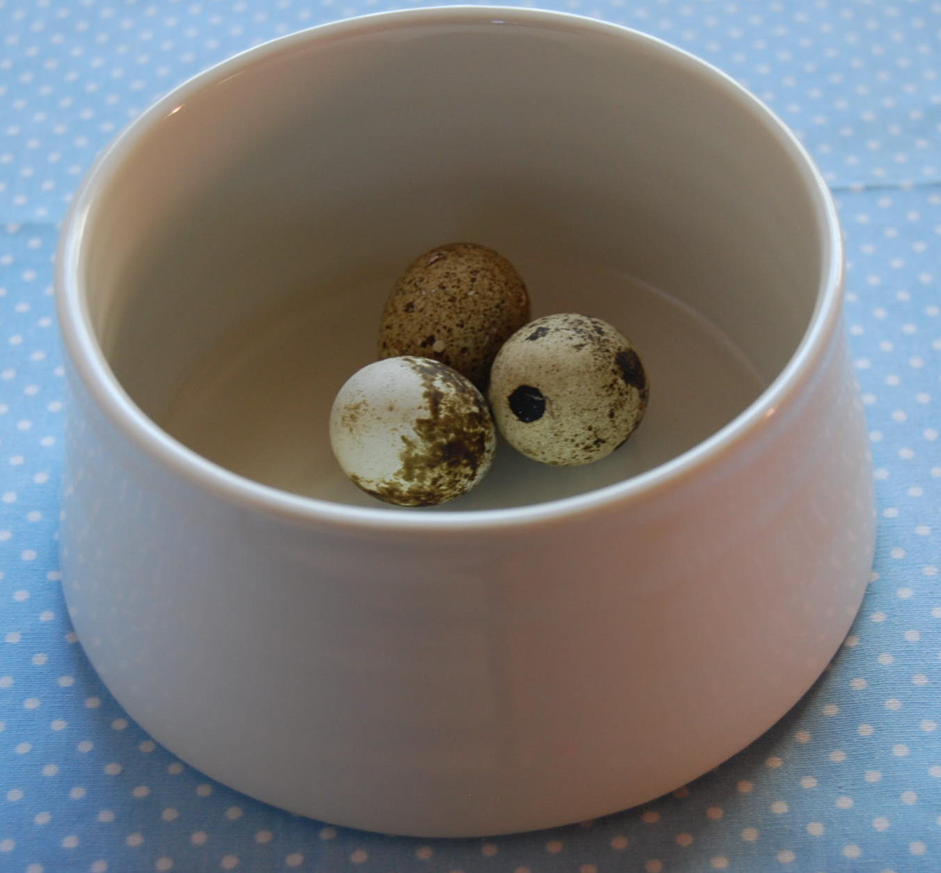 Porcelan NRW